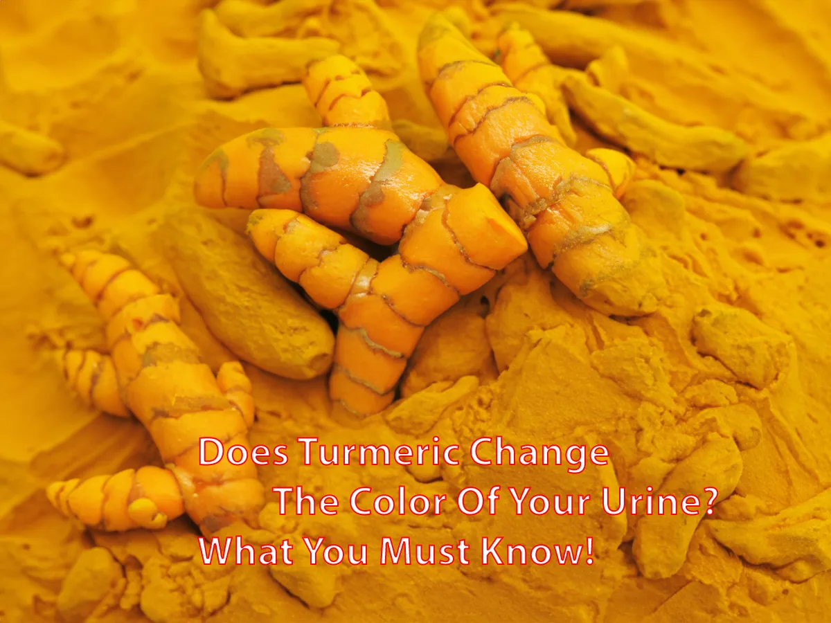 Does Turmeric Change The Color Of Your Urine? What You Must Know!