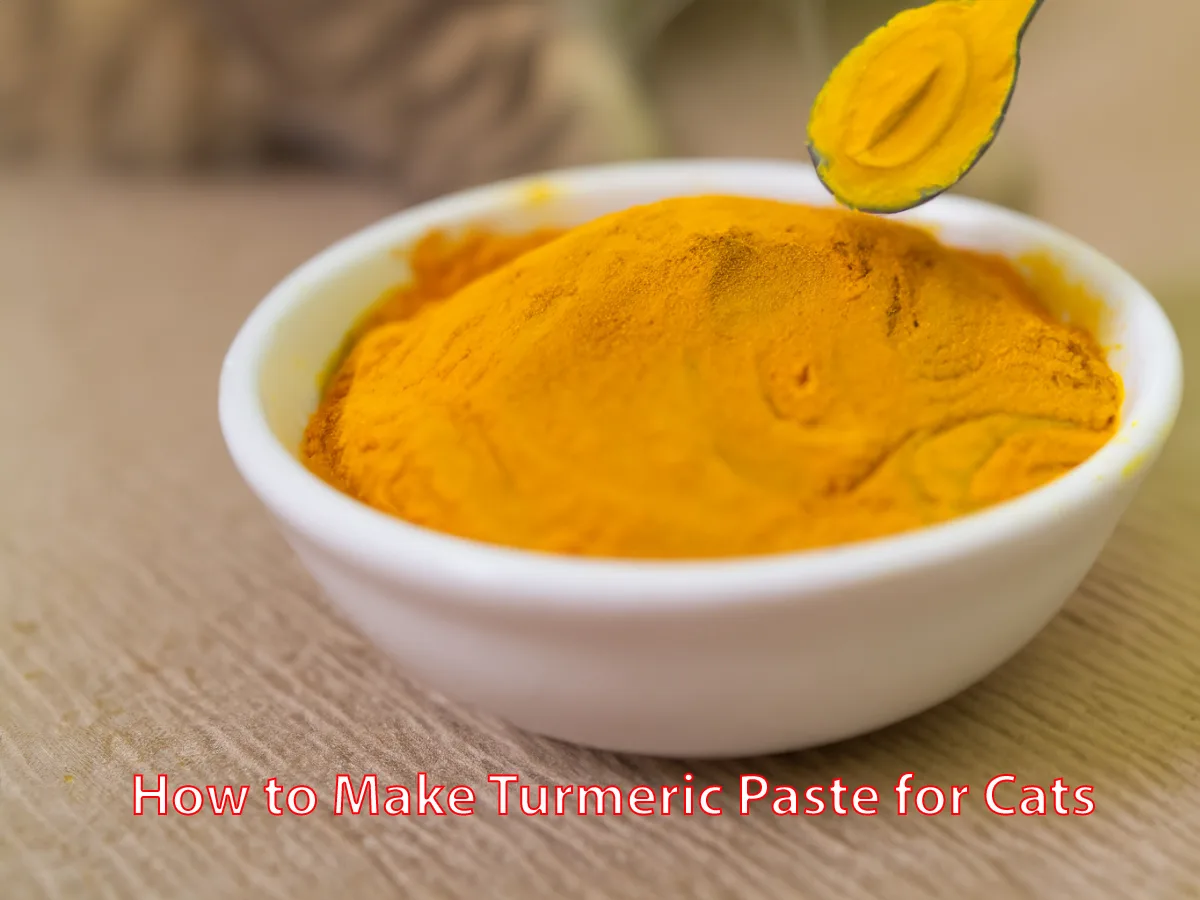 How to Make Turmeric Paste for Cats: Natural Pain Relief & Health Benefits